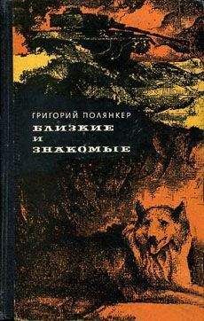 Григорий Полянкер - Президент