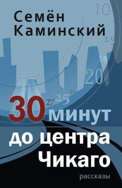 Семён Каминский - 30 минут до центра Чикаго