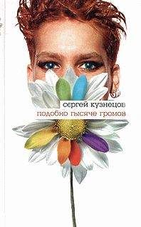 Сергей Кузнецов - Девяностые: сказка