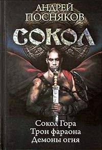 Андрей Посняков - Сокол. Трилогия