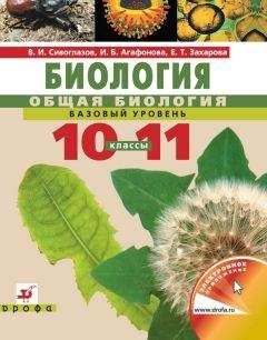 Екатерина Захарова - Биология. Общая биология. Базовый уровень. Учебник для 10–11 класс