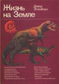 Дэвид Эттенборо - Жизнь на Земле. Естественная история