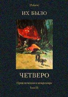 П. Гордашевский - Их было четверо. Приключения в микромире. Том III
