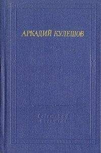 Аркадий Кулешов - Знамя бригады