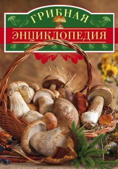 Вадим Арчер - Грибная энциклопедия
