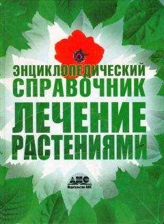 Геннадий Непокойчицкий - Лечение растениями. Энциклопедический справочник