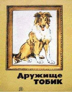 Михаил Заборский - Страшная месть