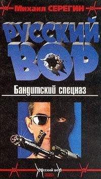 Михаил Серегин - Бандитский спецназ