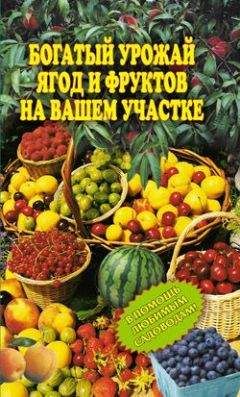 Ирина Муртазина - Богатый урожай ягод и фруктов на вашем участке. В помощь любимым садоводам!