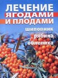 Таисия Батяева - Лечение ягодами (рябина, шиповник, облепиха)