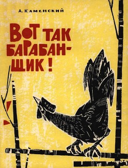 Вот так барабанщик! - Каменский Александр Владимирович