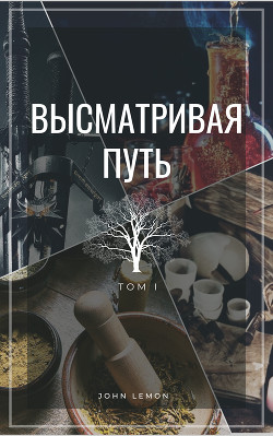Высматривая путь. Том I (СИ) - 