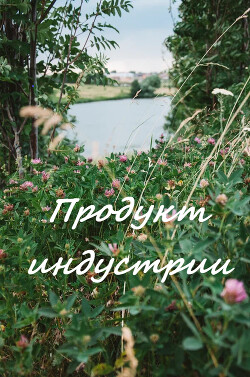 Продукт индустрии (СИ) - 