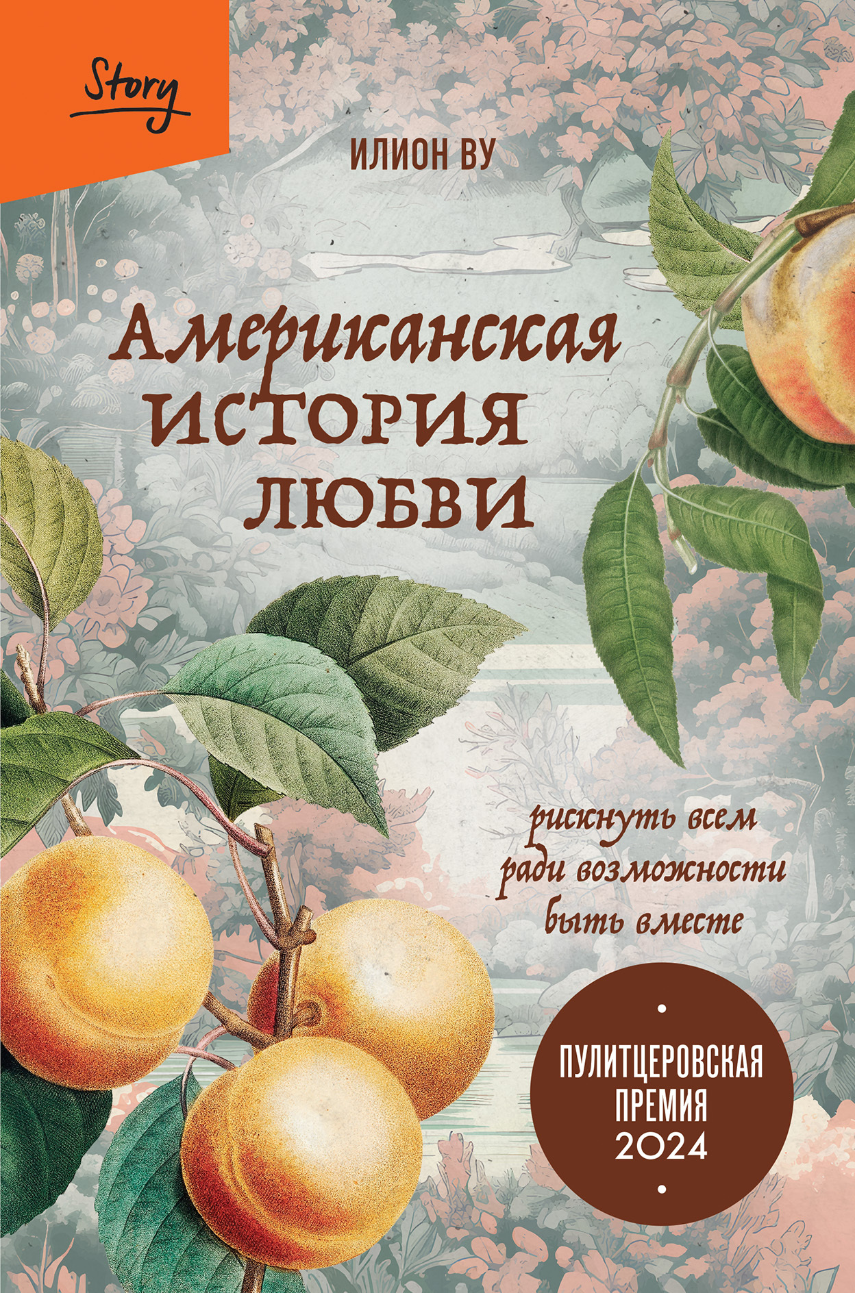 Американская история любви. Рискнуть всем ради возможности быть вместе - Илион Ву