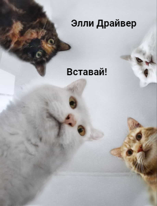 Вставай! - Элли Драйвер