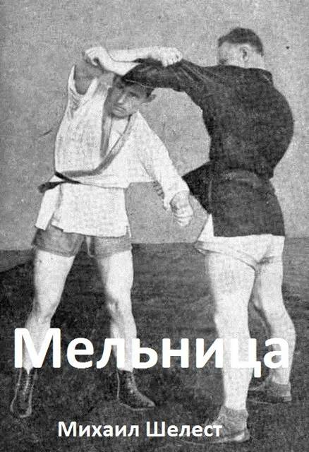 Мельница 2 - Михаил Васильевич Шелест