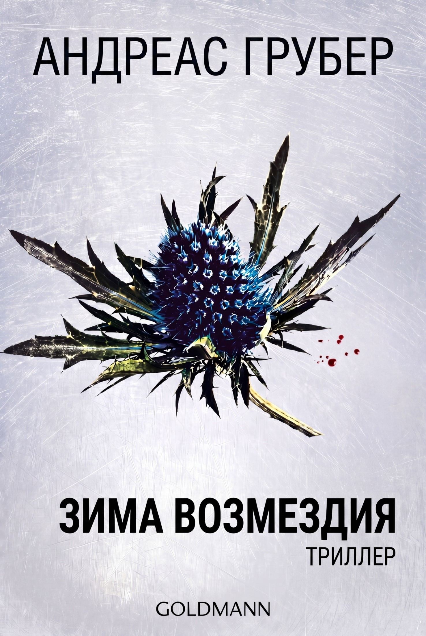 Зима возмездия - Андреас Грубер