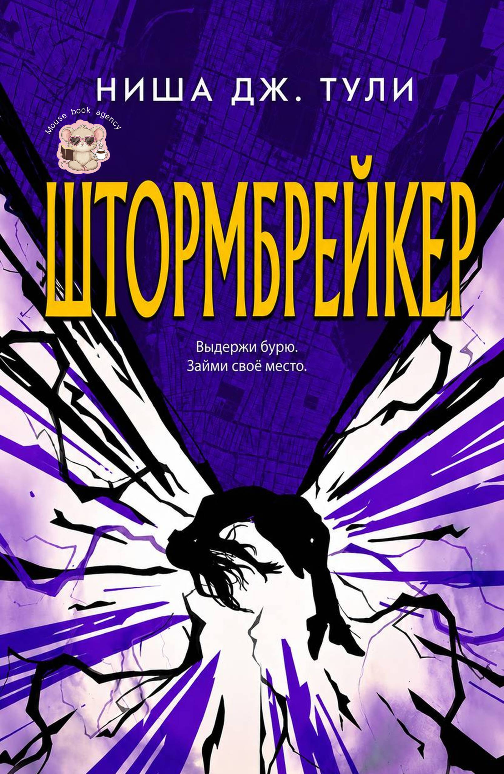 Штормбрейкер - Ниша Дж. Тули