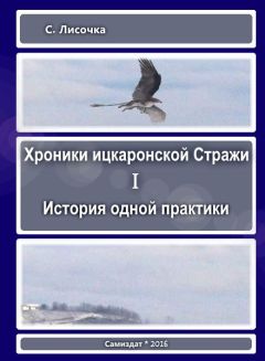 С Лисочка - История одной практики