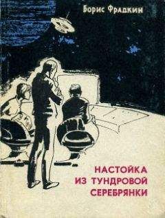 Борис Фрадкин - Настойка из тундровой серебрянки (сборник рассказов)